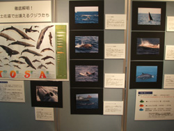 f0048405_15258100.jpg