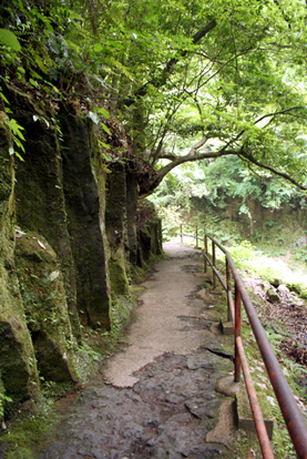 c0011009_158317.jpg