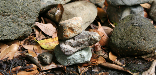 c0011009_1594352.jpg