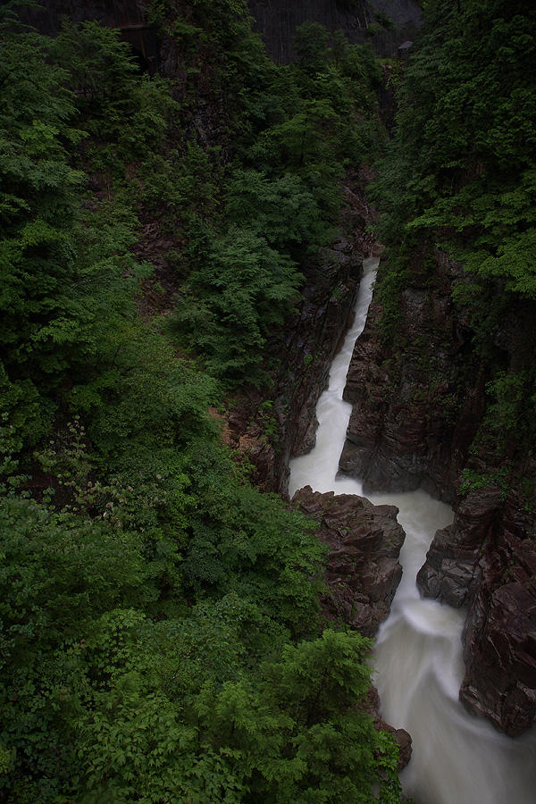 c0115616_18495961.jpg