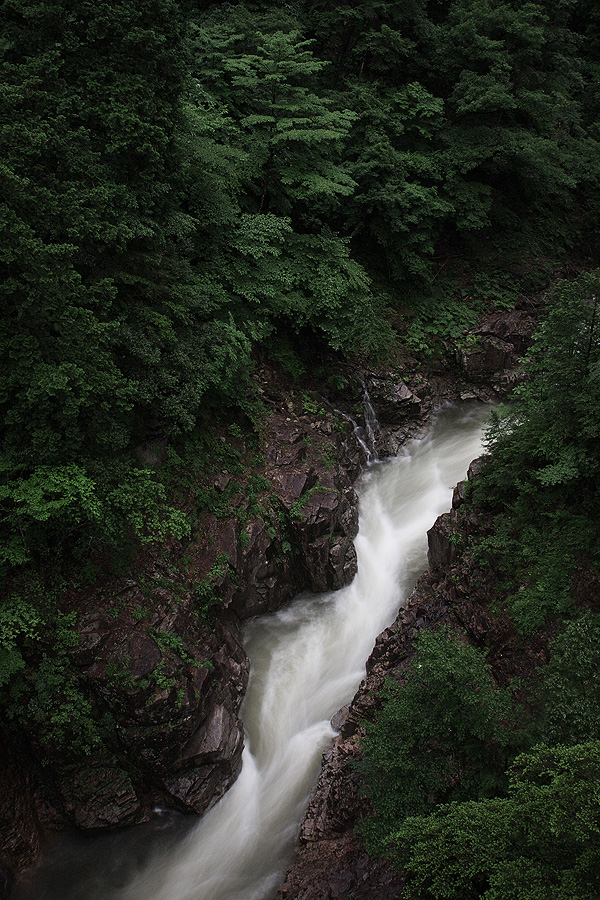 c0115616_18504741.jpg