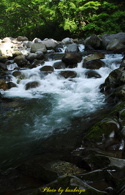 f0035323_8202343.jpg