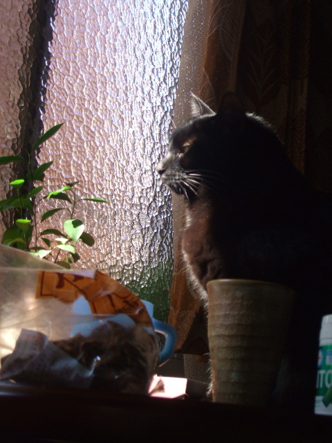 b0072729_16172042.jpg