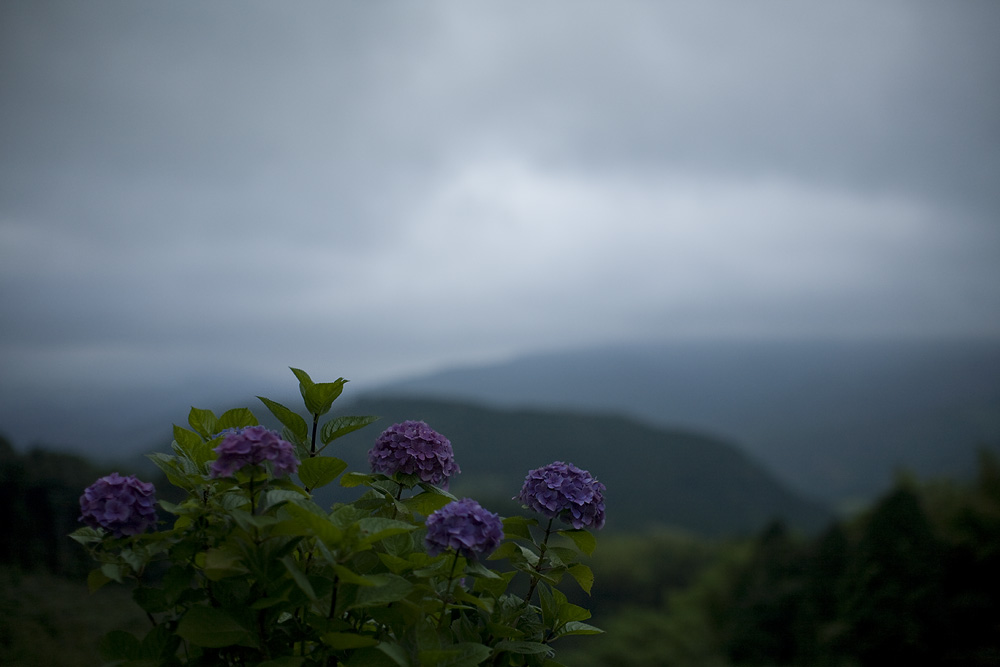 d0004832_2043729.jpg