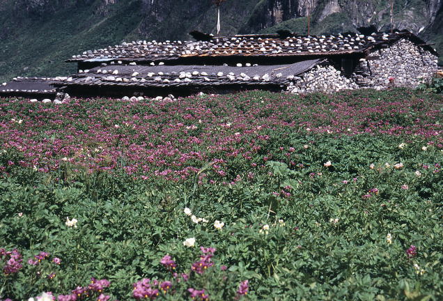 d0091834_15563755.jpg