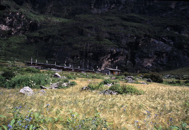 d0091834_15564962.jpg