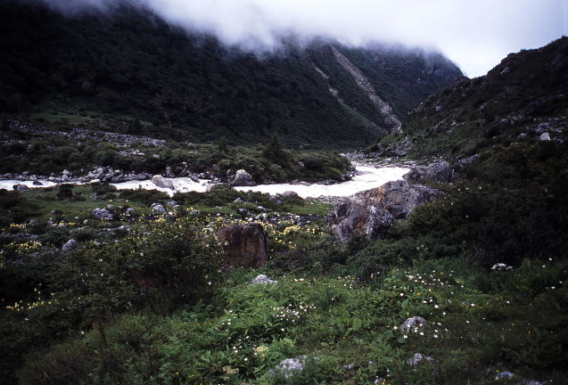 d0091834_1557057.jpg