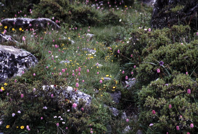d0091834_15575981.jpg