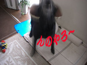 e0044635_1143491.jpg