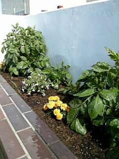 b0001440_16463896.jpg