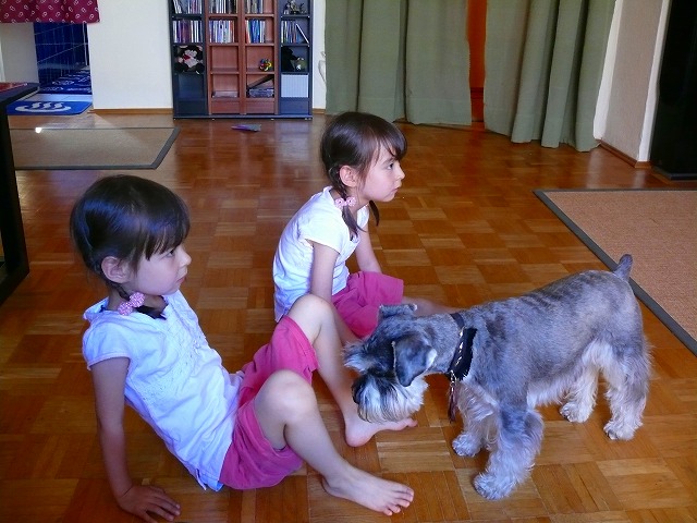 c0153740_336541.jpg