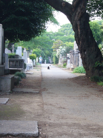 e0058443_2323391.jpg