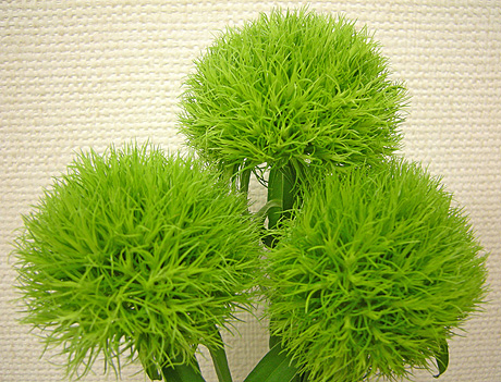 a0001354_21171727.jpg
