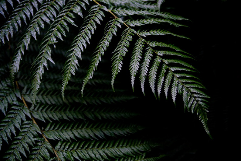 f0137354_1057097.jpg