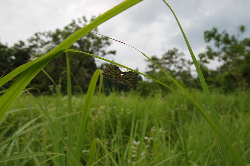 c0043361_23374331.jpg