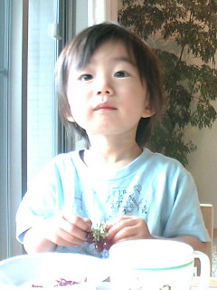 f0115862_2327582.jpg