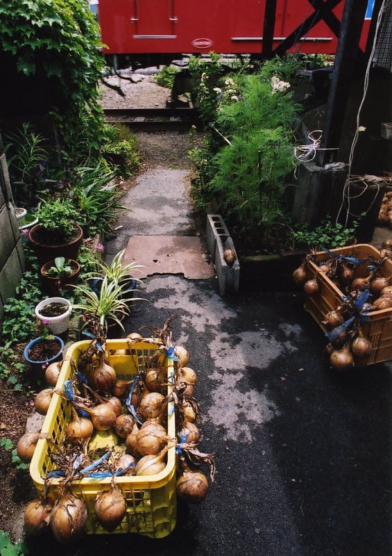 c0084666_041331.jpg