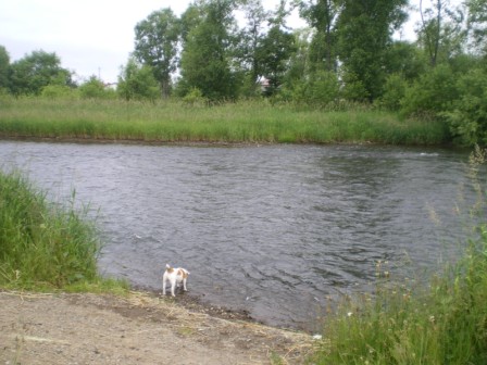 f0140069_1529461.jpg