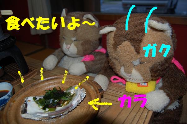 b0059978_2313116.jpg