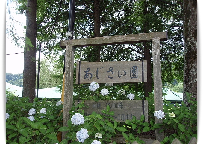 a0079880_10385997.jpg