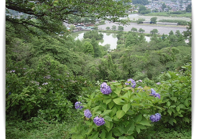 a0079880_10435621.jpg