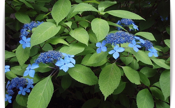 a0079880_1046211.jpg