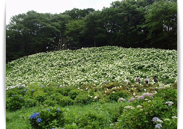 a0079880_10524069.jpg