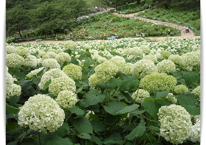 a0079880_1058015.jpg