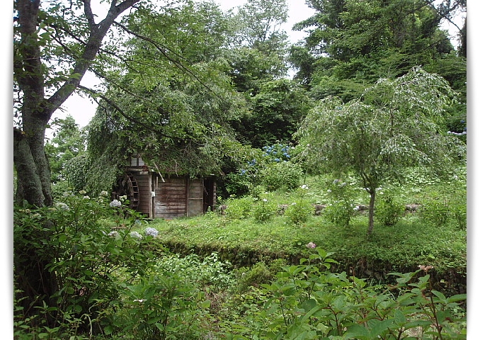 a0079880_206467.jpg