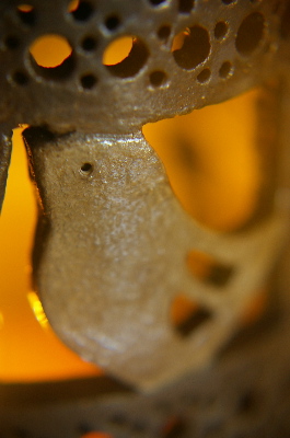 d0114782_23245581.jpg