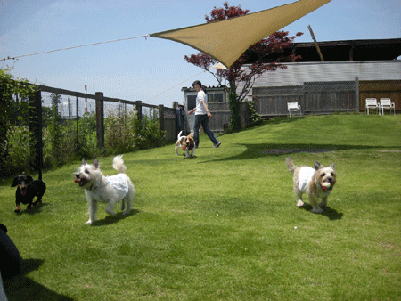 e0066883_2322523.gif