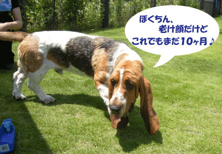 e0066883_23252219.gif