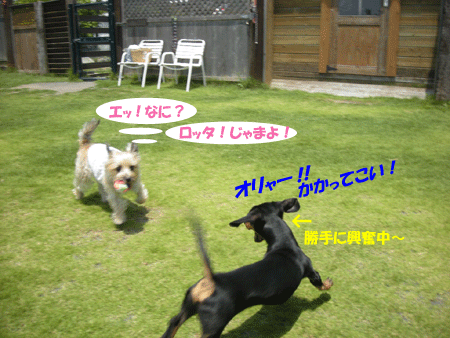 e0066883_2329101.gif