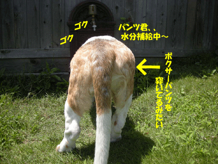 e0066883_23314377.gif