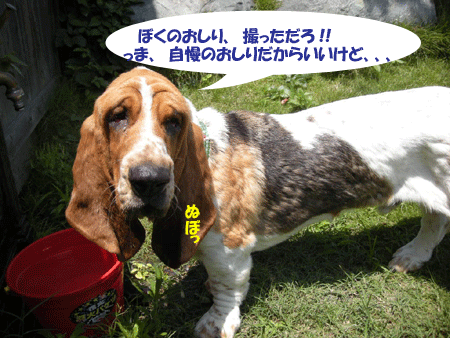e0066883_2332425.gif