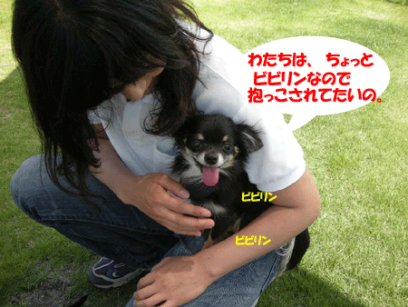 e0066883_23382946.gif