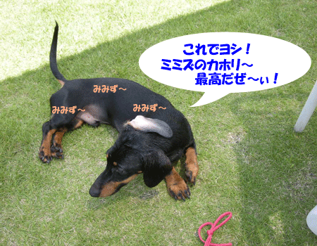 e0066883_23411337.gif