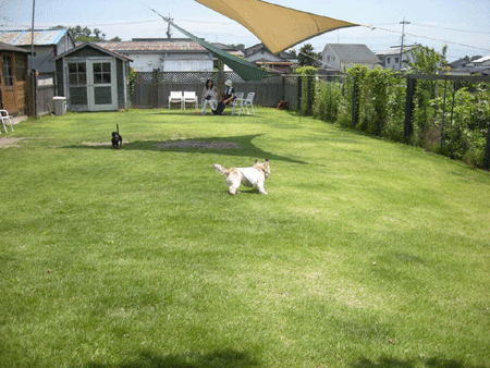 e0066883_23505614.gif