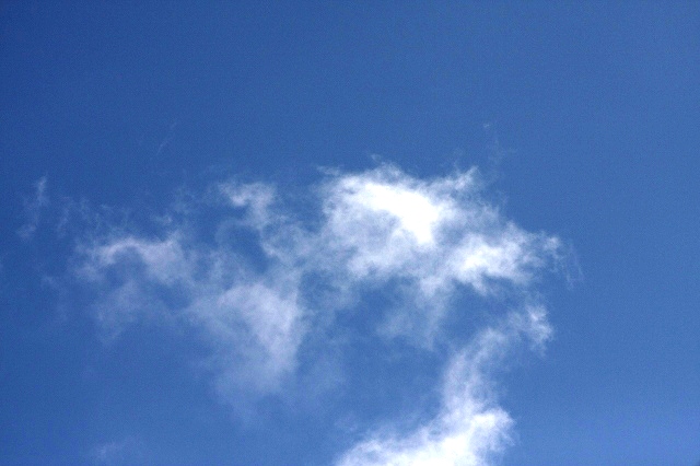 b0115085_1636753.jpg