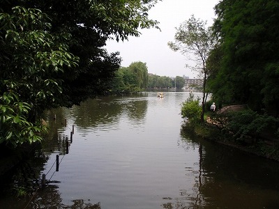 c0105785_838353.jpg