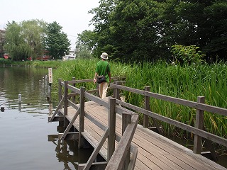 c0105785_8423318.jpg