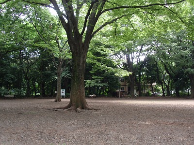 c0105785_848449.jpg