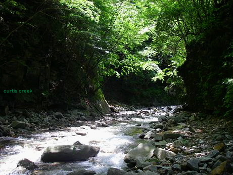 c0136486_1225599.jpg