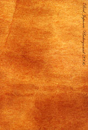 c0049495_1734576.jpg