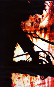 c0049495_1739880.jpg