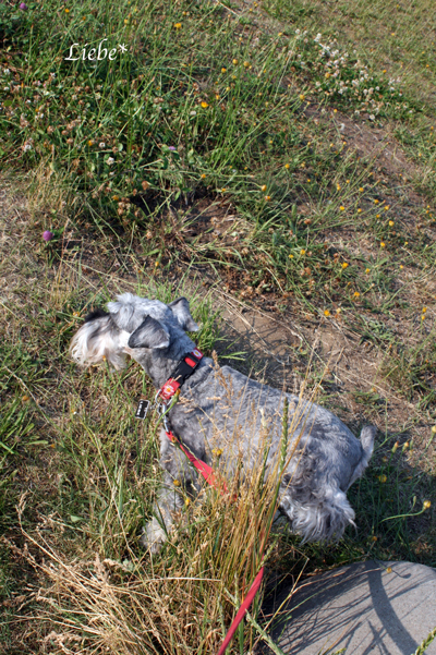 f0001895_1437476.jpg