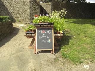 f0127098_823173.jpg