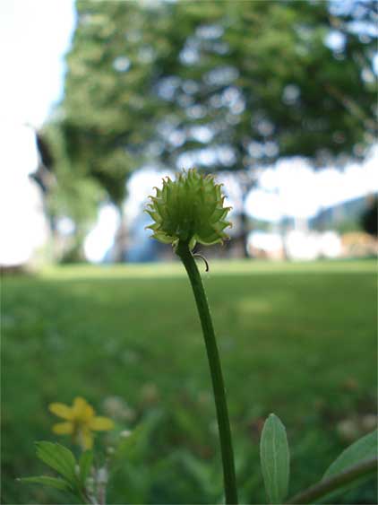 a0061599_7345941.jpg