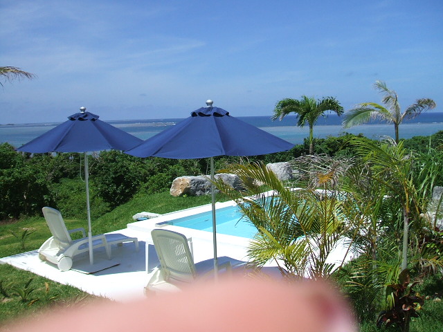 e0084001_1738377.jpg