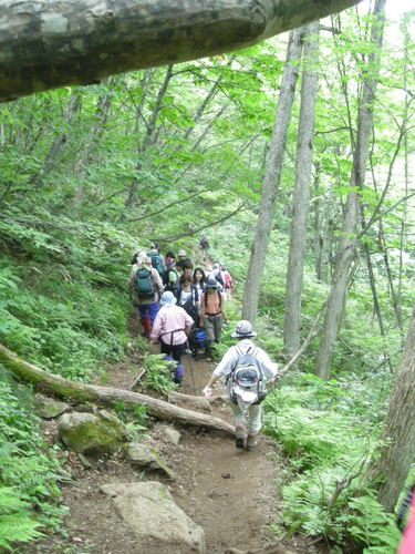 e0083204_144790.jpg